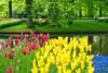 Keukenhof