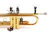 The RPO celebrates its 70th anniversary this September.