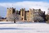 Raby Castle