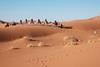 Sahara Desert